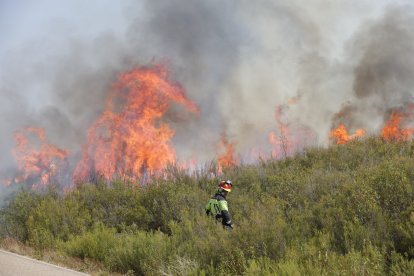 Incendio en Puercas, en Zamora.