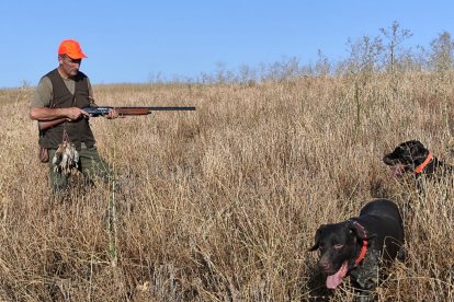Un aficionado con un buen ramillete de codornices, la pasada temporada.