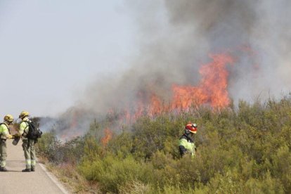Incendio de Puercas en Zamora