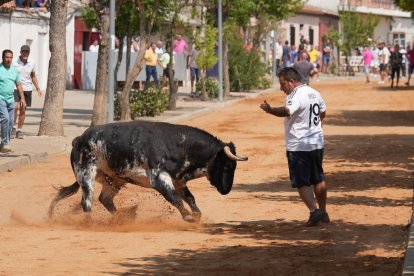 Tradicional encierro urbano en serrada