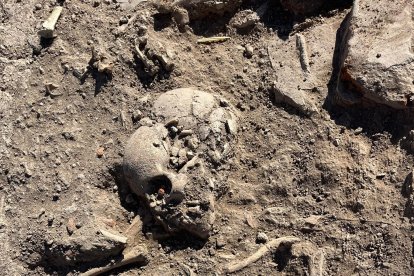 Detalle de un hallazgo en Las Calaveras