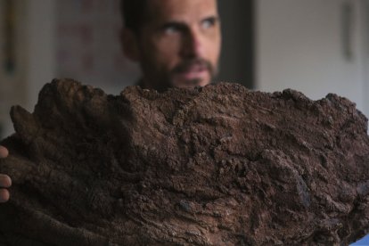 El geólogo de la USAL, Antonio Álvarez Valero
