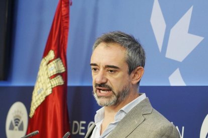 El portavoz parlamentario de Vox, David Hierro.