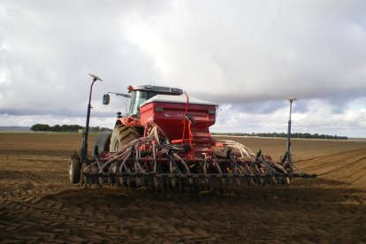 Una imagen de una campaña anterior de sementera de invierno en un terreno de Ávila.