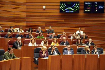 Cortes de Castilla y León.