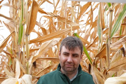 Jorge Miñon, director técnico