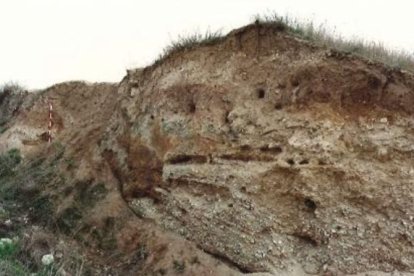 Una imagen del yacimiento