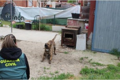 Guardia Civil junto a un perro