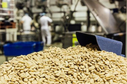 Almendras siendo procesadas tras la recolección.

Joaquín Reina - Europa Press