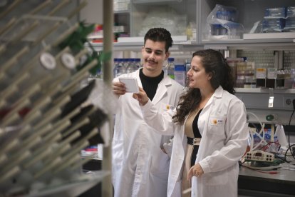 Vicente Fernández, estudiante de doctorado, y Sandra Blanco, científica titular del Centro de Investigación del Cáncer de Salamanca