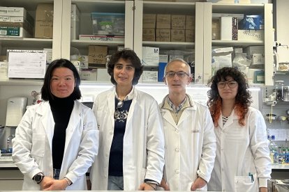 Los investigadores responsables del estudio Raquel Garcimartín-Bailón, María Luisa del Río-González, José-Ignacio Rodríguez-Barbosa y María Santiago Carretero.