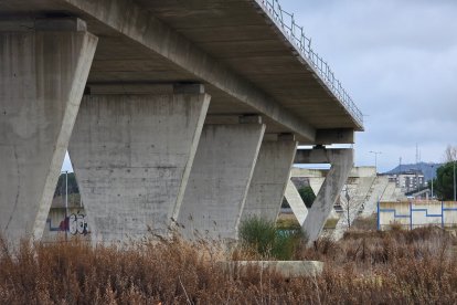 Tramos del inacabado viaducto de los tramposos de la variante de mercancías.