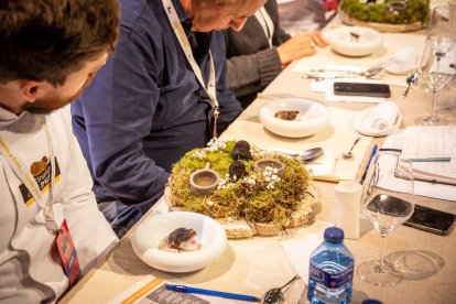 Última edición de Cocinando con trufa en Soria