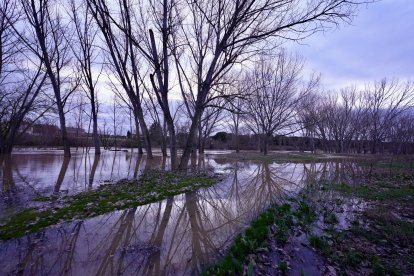 Desbordamiento del Duero a su paso Por Puente Duero