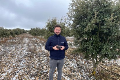 Iván Manchón es el responsable en Truficultura de IDForest.