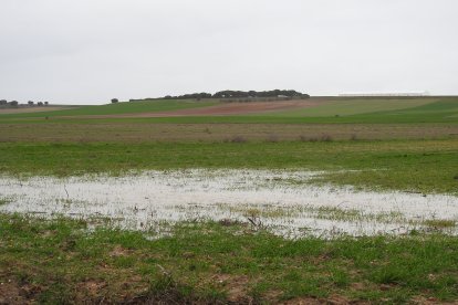 Aspecto del corredero de la Cuesta de los Picos en Nava del Rey.