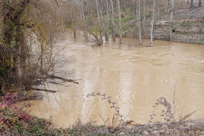 Río Cega a su paso por Megeces en Valladolid