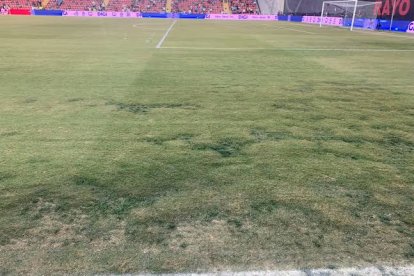 Césped de Vallecas tras la suspensión de su partido ante el Rayo.
