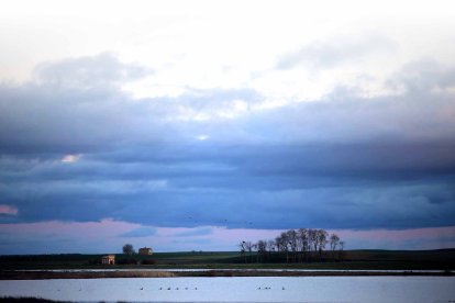 Lagunas de Villafáfila.