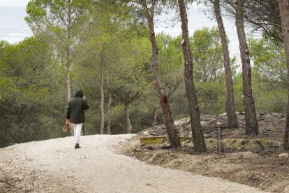 Un paseante recorre los senderos recién arreglados.