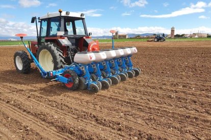 Siembra de garbanzo en la localidad segoviana de  Labajos bajo, en una imagén de archivo.
