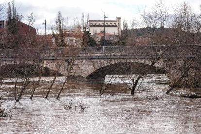 Casas y calles afectadas por la crecida del río Duero