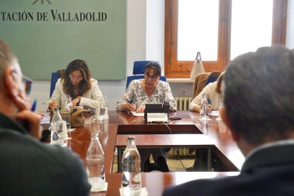 Reunión de la Diputación de Valladolid