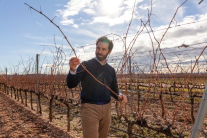Antonio tiene 87 hectáreas de viñedo en Aranda de Duero.