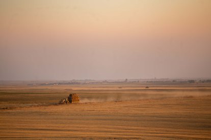 Tierras de cultivo de cereal en Tierra de Campos