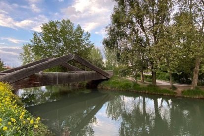 El puente de madera sobre el Canal de Castilla conecta los senderos del barrio de La Victoria en un entorno natural dentro de la ciudad