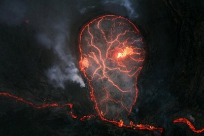 Daniel Viñe logra el oro mundial en categoría Naturaleza en la World Photographic Cup 2026.