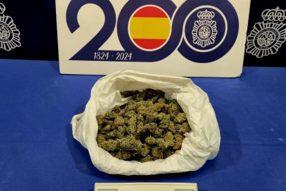 Cogollos de marihuana intervenidos al varón arrestado en la Pilarica
