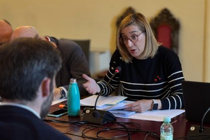 Rocío Anguita, portavoz de VTLP, en una intervención