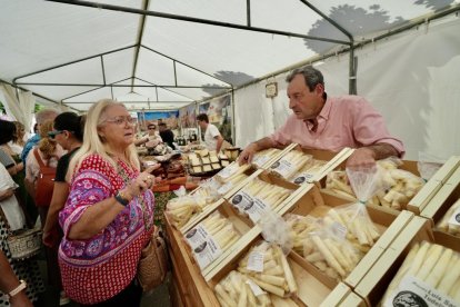 Feria del Espárrago y la Artesanía de Tudela en Valladolid.