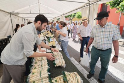 Feria del Esparrago de Tudela de Duero