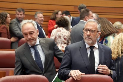 Carlos Pollán y  Alberto Díaz Pico.-ICAL