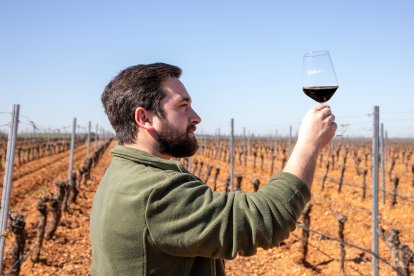 Jesús Martínez, enólogo de Cantovera (Ribera del Duero) y Valdecuevas (Rueda).
