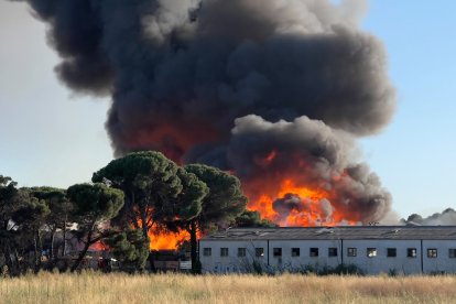 Incendio en la una empresa de palés de la zona sur de Valladolid