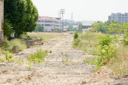 El Ayuntamiento reclama al Ministerio que no se derribe el viaducto sobre la VA-30 para poder dar continuidad al futuro corredor verde Valladolid-Laguna a través de la construcción de una rampa