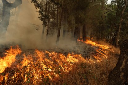Incendio de Burgohondo, en la provincia de Ávila
