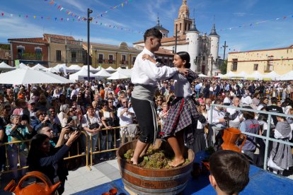 Celebración de la XXXVI Fiesta de la Vendimia de la D.O. Rueda.