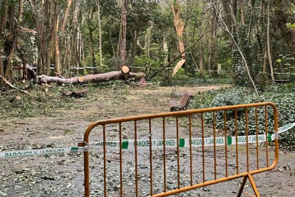 La caída de un árbol obliga a cerrar parte del parque de Campo Grande