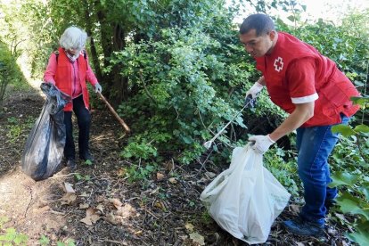 Voluntarios de 'Ama el Pisuerga' recogiendo basura en el callejón de la Alcoholera.