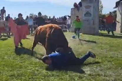 Momento de la cogida en el Toro de la Vega