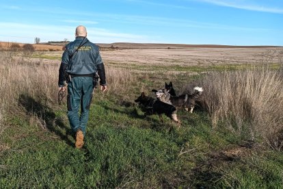La Guardia Civil busca a un hombre en la Unión de Campos (Valladolid)