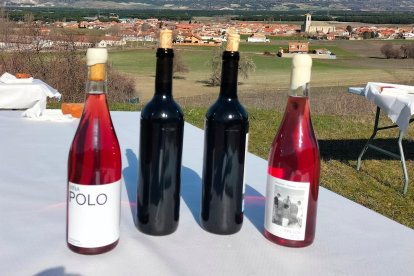 Ruta por la zona de la Atalaya y bodegas tradicionales en Traspinedo