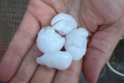 Granizo del tamaño de nueces en Ventosa de la Cuesta