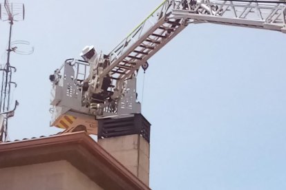 Bomberos eliminan el avispero con el camión escala
