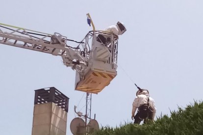 Bomberos eliminan el avispero con el camión escala