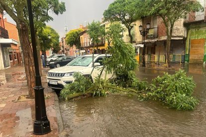 Las ramas caídas en una calle de Medina del Campo por la tormenta impiden el paso de un vehículo.